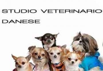 Studio Veterinario Danese logo