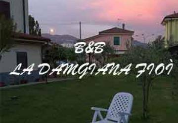 La Damigiana Fioì logo