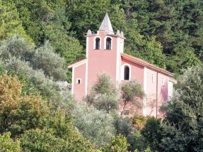 Madonna Dell' Ulivo Carnea