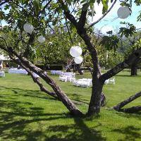 Magico Wedding Planner foto