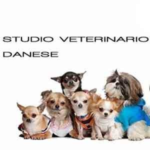 Studio Veterinario Danese logo